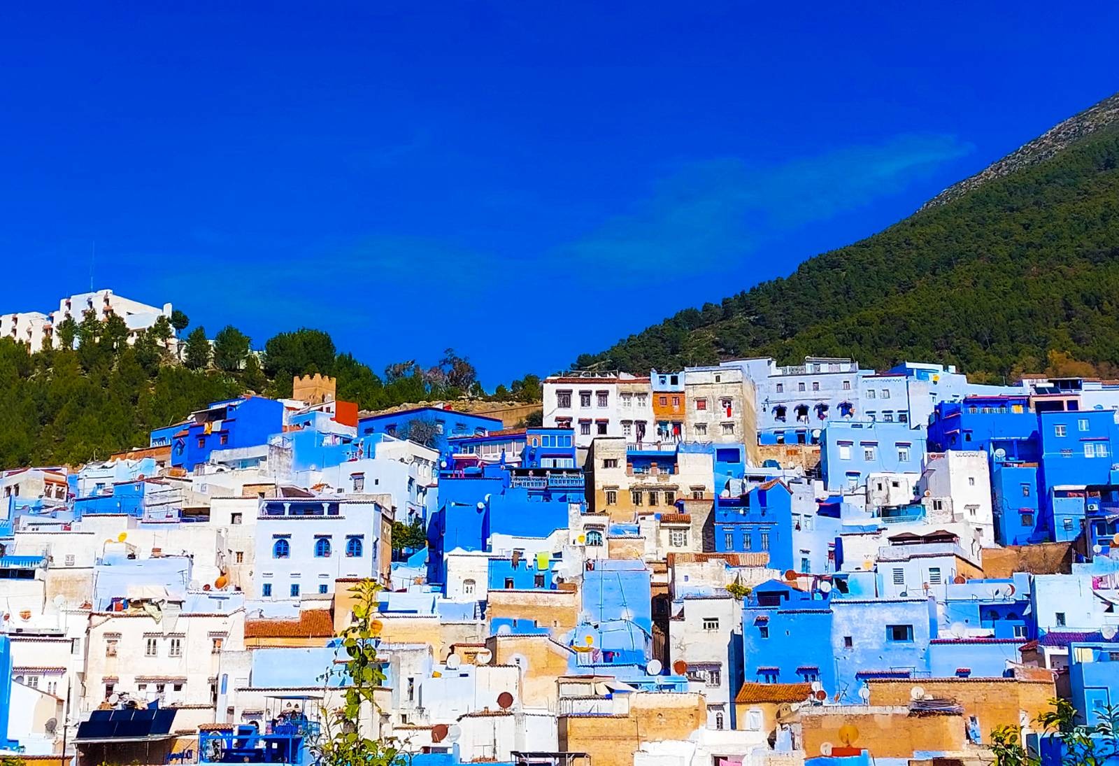 Top 7 Websites about Tourism in Morocco